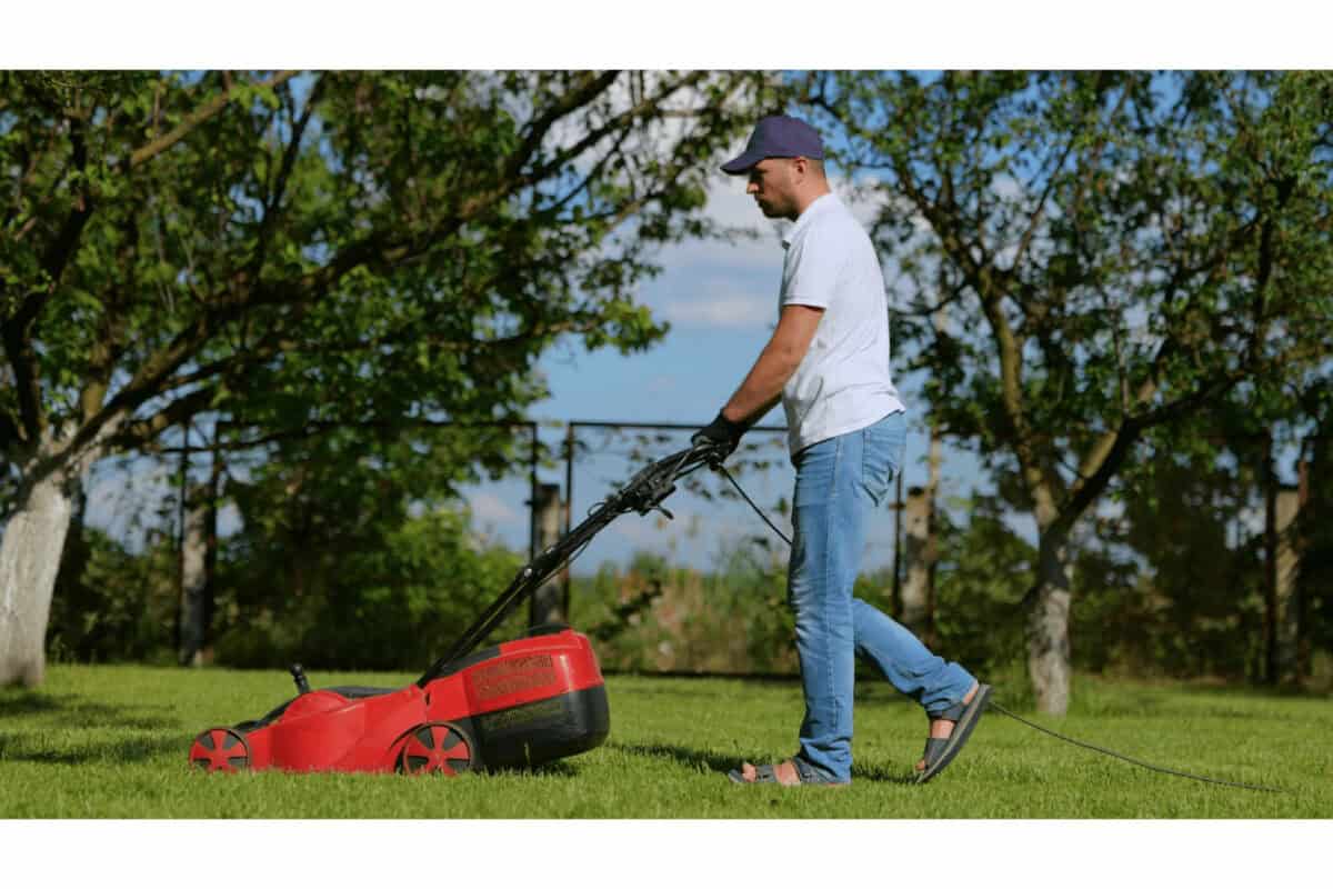 Protecting Your Ears During Summer Gardening and Yard Work